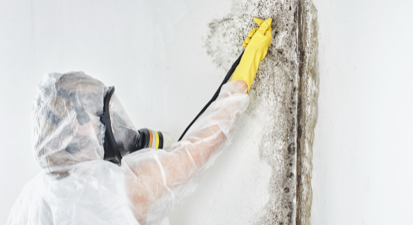 Mold Removal Fairfield Ct